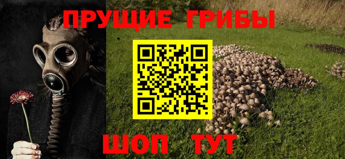 Псилоцибиновые грибы мухоморы  Вход с VPN  Псилоцибиновые грибы Cubensis  Кулебаки 