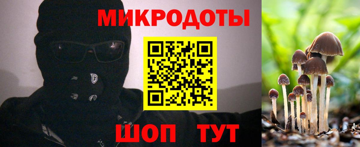 Псилоцибиновые грибы Magic Shrooms Кулебаки